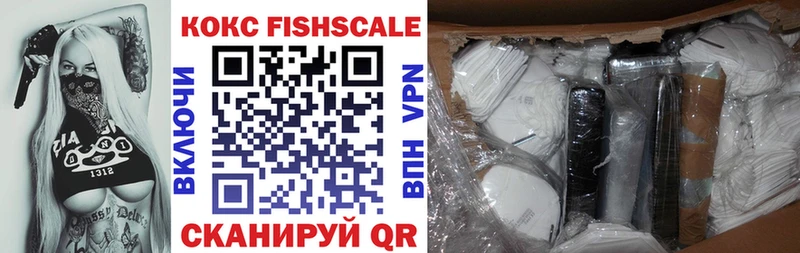 Купить закладки  Котлас  Cocaine Fish Scale 
