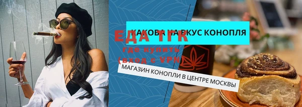 прущие грибы Каменногорск