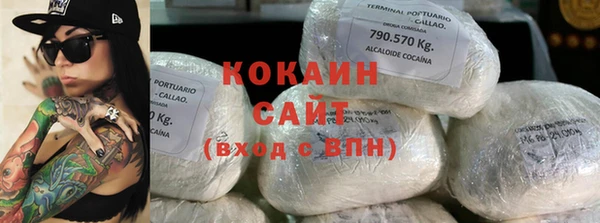 ПСИЛОЦИБИНОВЫЕ ГРИБЫ Каменка