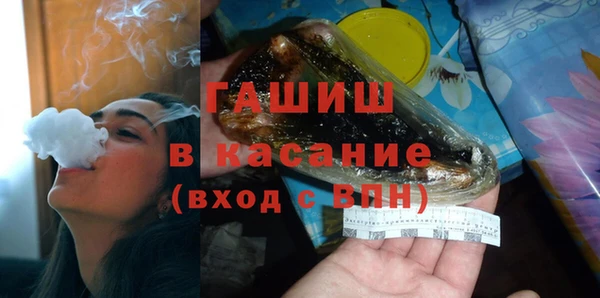 прущие грибы Каменногорск