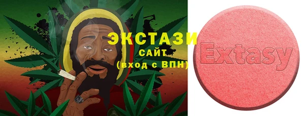 прущие грибы Каменногорск