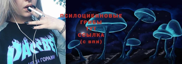 PSILOCYBIN Каменск-Шахтинский