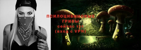 гашик Касимов