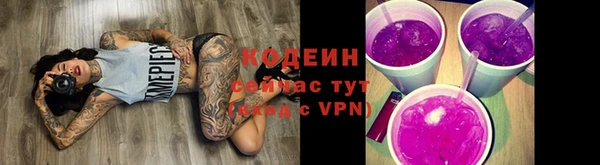 прущие грибы Каменногорск