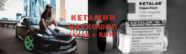 прущие грибы Каменногорск