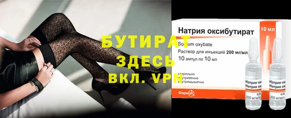 прущие грибы Каменногорск