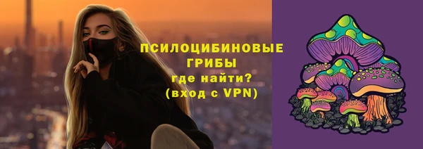 прущие грибы Каменногорск