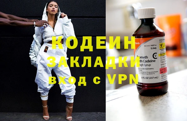 прущие грибы Каменногорск