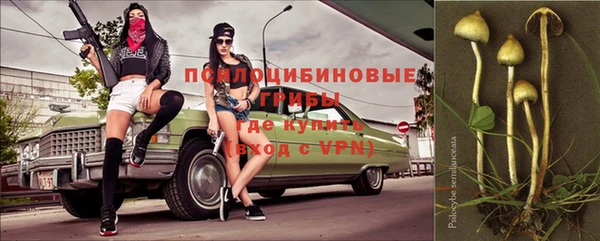 гашик Касимов