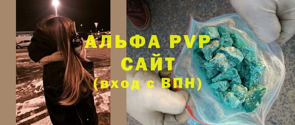 прущие грибы Каменногорск