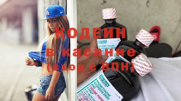 ПСИЛОЦИБИНОВЫЕ ГРИБЫ Каменка