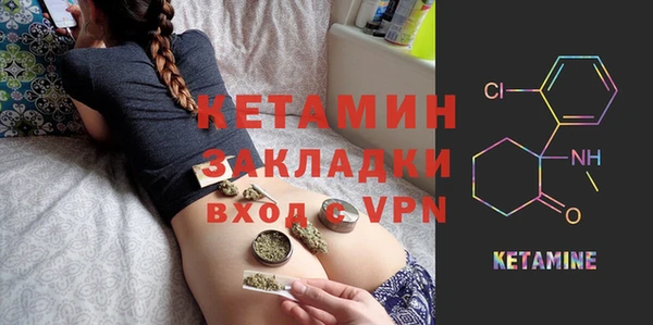 прущие грибы Каменногорск