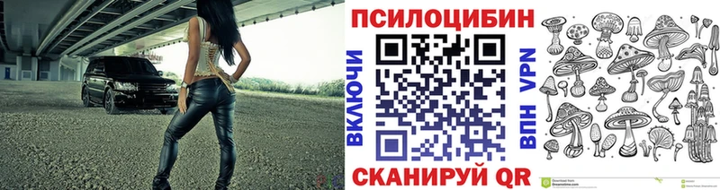 Купить где  Котлас  Галлюциногенные грибы мицелий 
